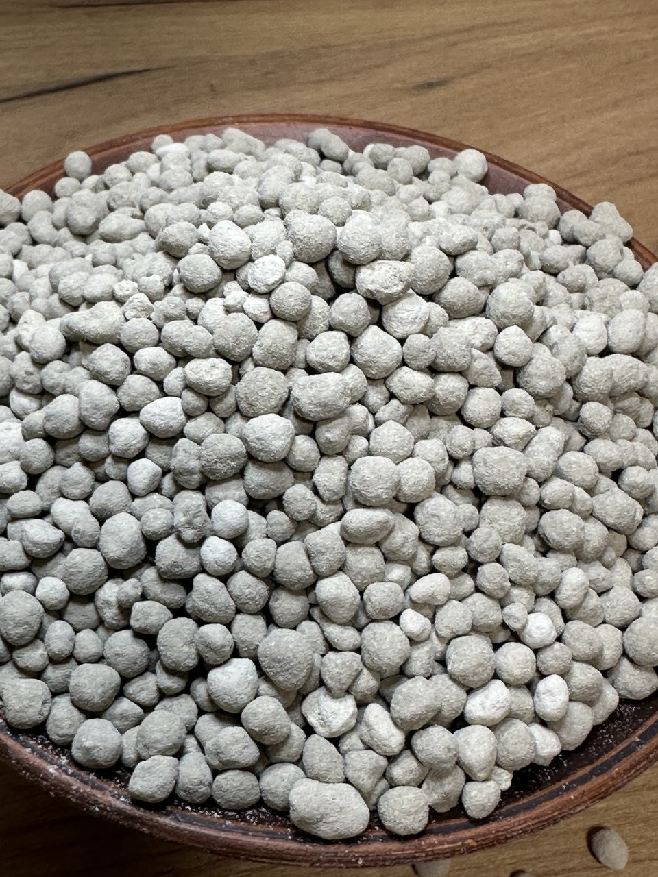 photo_2025-11-18_22-00-24 (2)