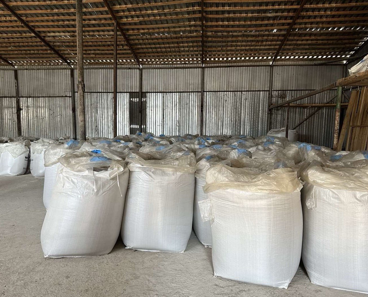 photo_2025-11-19_22-21-33