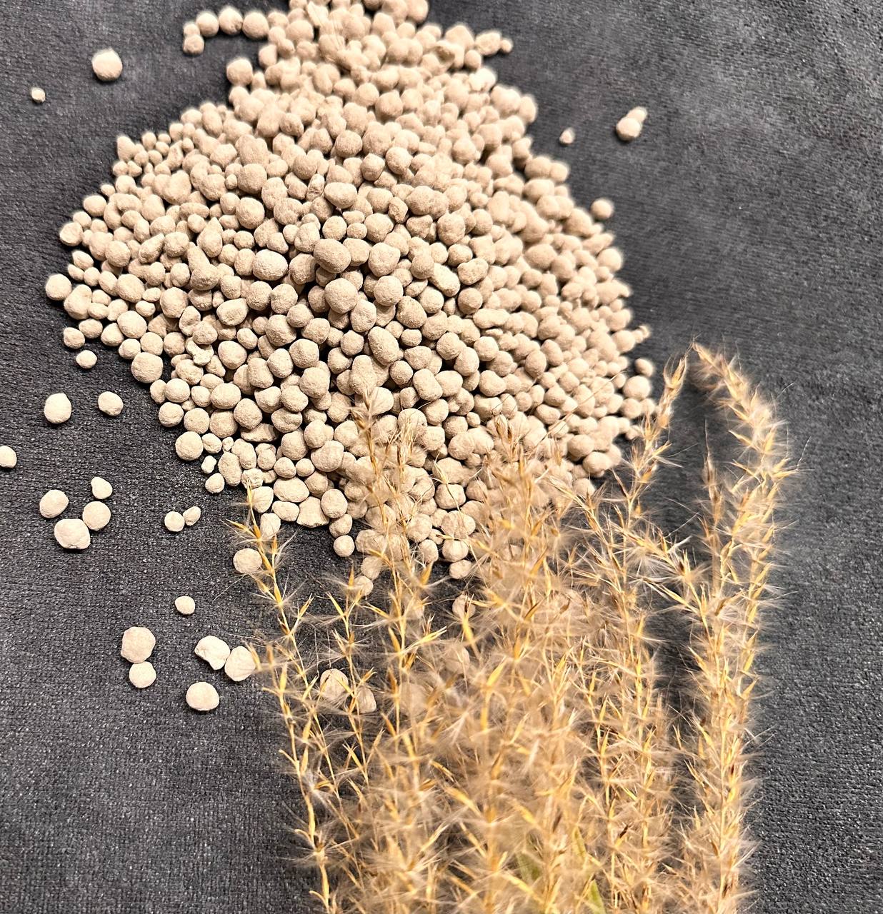 photo_2025-11-19_23-30-10