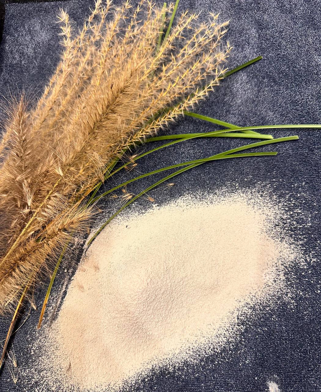 photo_2025-11-19_23-31-27