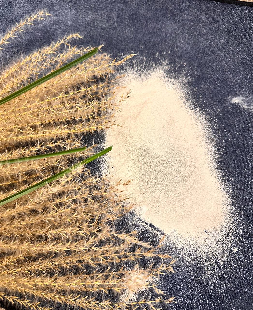 photo_2025-11-19_23-31-28